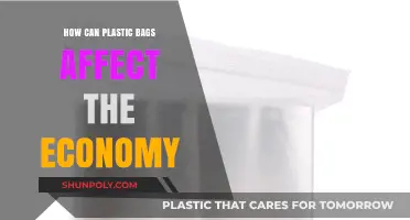 Plastic Bags' Economic Impact: Costs, Consequences, and Sustainable Solutions