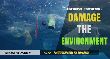 Plastic Grocery Bags: Unseen Environmental Hazards and Long-Term Damage