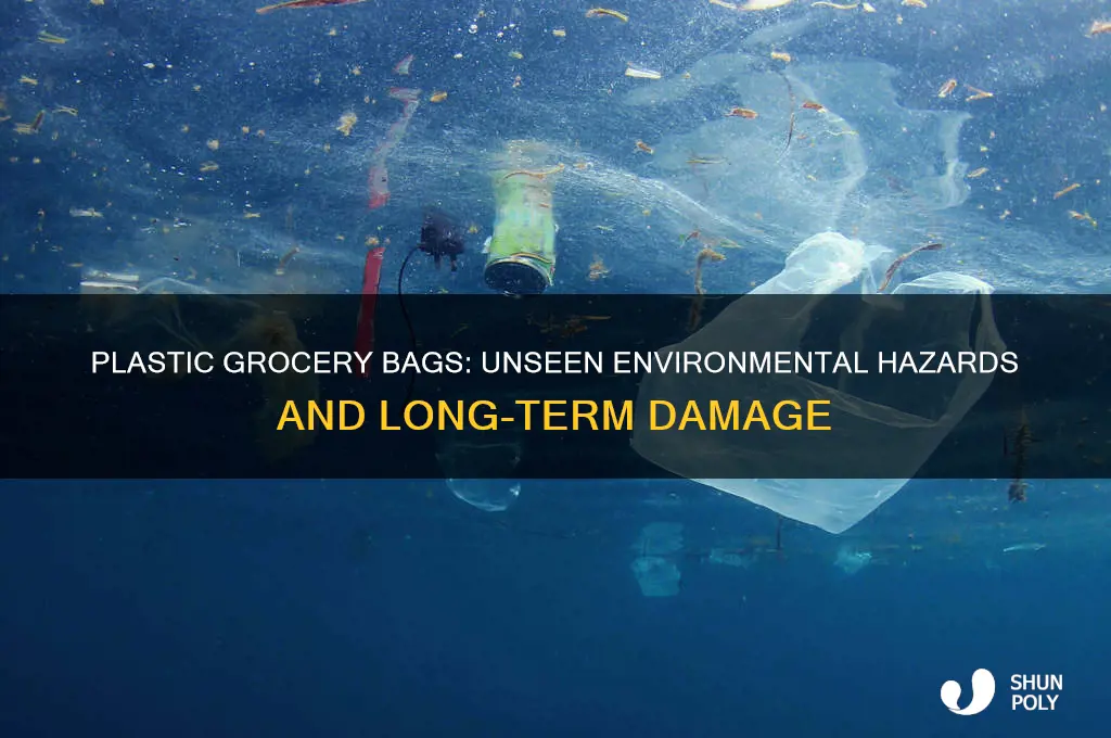 how can plastic grocery bags damage the environment