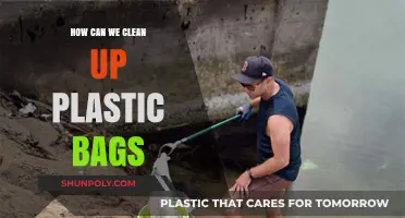 Effective Strategies to Clean Up Plastic Bags and Protect Our Environment