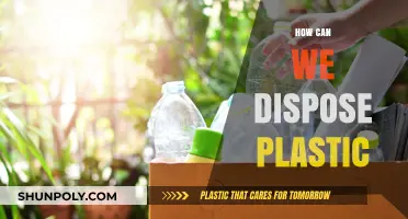 Eco-Friendly Solutions: How to Dispose of Plastic Responsibly