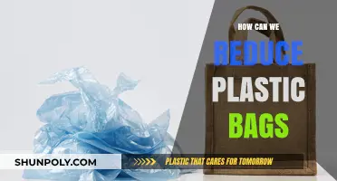 Eco-Friendly Alternatives: Simple Steps to Cut Down Plastic Bag Use