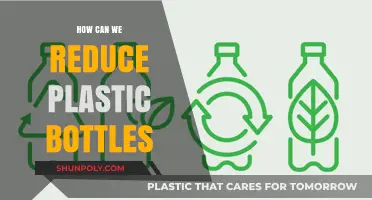 Sustainable Solutions: Reducing Plastic Bottle Waste for a Greener Future