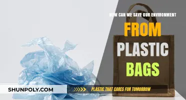 Eco-Friendly Alternatives: Saving Our Environment from Plastic Bag Pollution