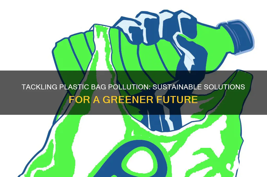 how can we solve the problem of plastic bags