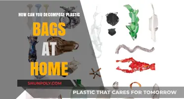 Eco-Friendly Ways to Decompose Plastic Bags at Home Easily