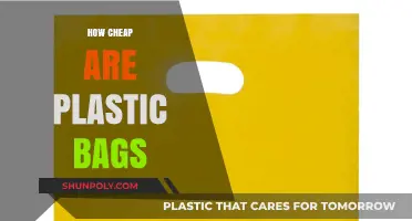 The Hidden Costs of Plastic Bags: Are They Truly Cheap?