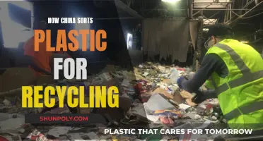 China's Advanced Plastic Sorting: Recycling Revolutionized