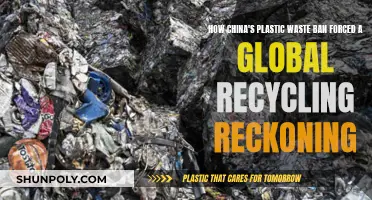 China's Plastic Ban: A Global Recycling Revolution