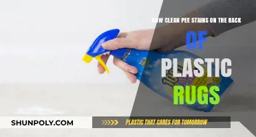Effective Tips to Remove Pee Stains from Plastic Rugs Easily