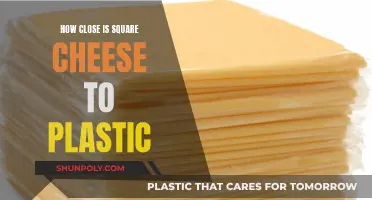 Cheese and Plastic: How Close Are They?