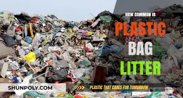 Plastic Bag Pollution: Understanding the Prevalence of Litter Worldwide