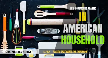 Plastic's Ubiquity in American Households