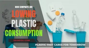 Businesses Leading the Way in Reducing Plastic Consumption