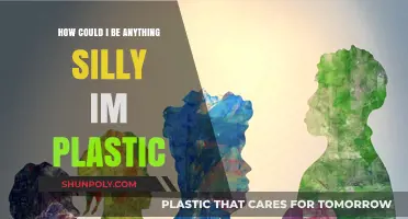 Exploring Identity: Beyond the Silly and the Plastic