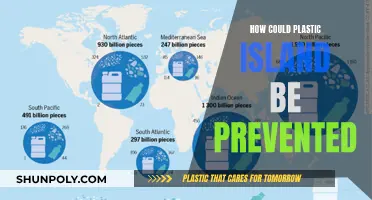 Preventing Plastic Pollution: Saving Our Oceans