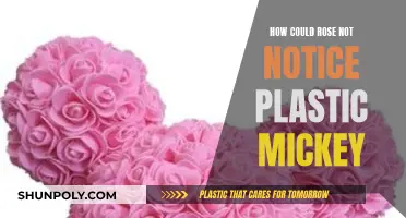 Plastic Mickey: Rose's Unnoticed Companion