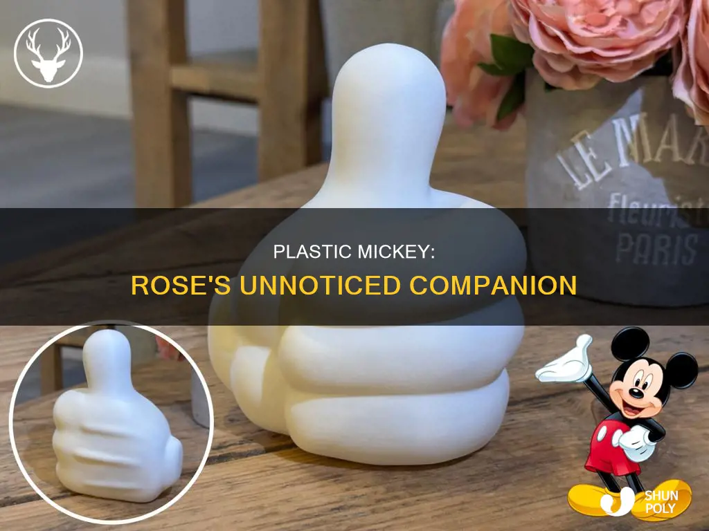 how could rose not notice plastic mickey