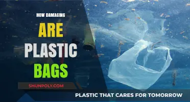 The Hidden Environmental Toll of Plastic Bags: A Critical Analysis