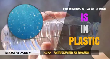 The Hidden Dangers of Plastic Bottled Water: Health and Environmental Risks