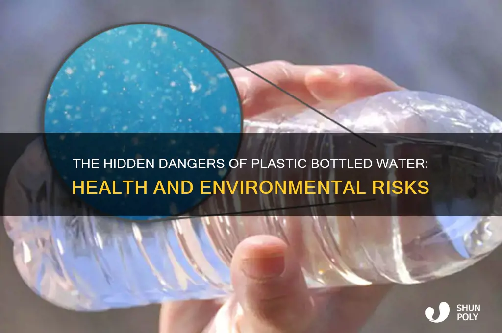 how dangerous bottled water which is in plastic