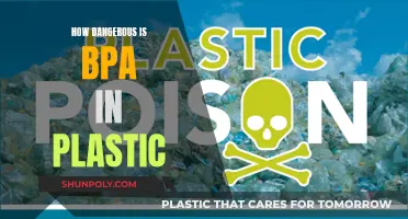 BPA in Plastic: Is It Safe?