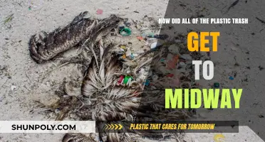 The Journey of Plastic Trash to Midway Atoll: Unraveling the Crisis