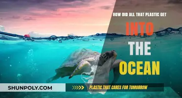 Unveiling the Plastic Crisis: How Our Waste Invaded the Oceans
