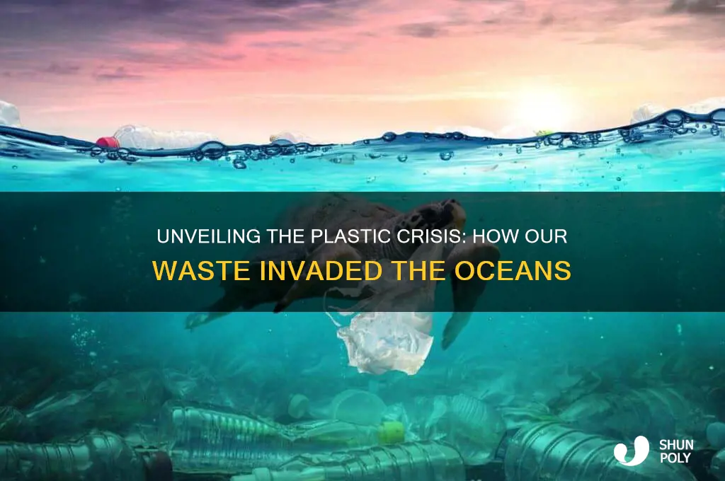 how did all that plastic get into the ocean