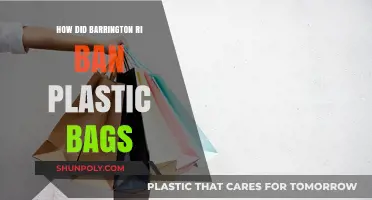 Barrington, RI's Bold Move: Banning Plastic Bags for a Greener Future
