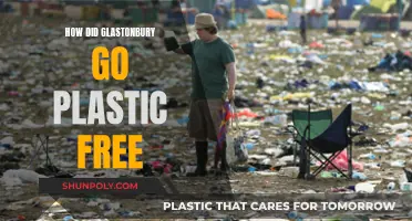 Glastonbury's Plastic-Free Revolution: How They Did It