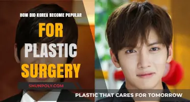 The Rise of Korea as a Global Hub for Plastic Surgery