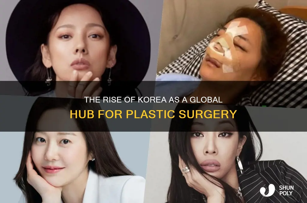how did korea become popular for plastic surgery
