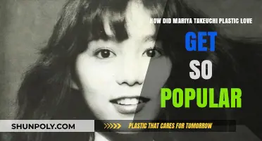 Mariya Takeuchi's Plastic Love: The Unexpected Global Viral Sensation