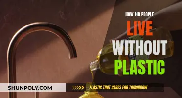 Life Before Plastic: How Did We Manage?