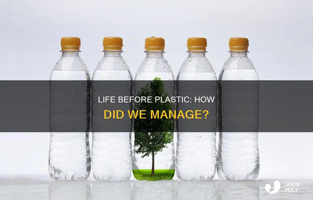how did people live without plastic