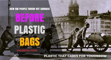 Before Plastic Bags: Ancient Garbage Disposal Methods Unveiled