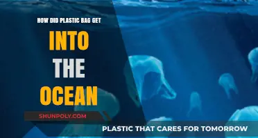 How Plastic Bags End Up in Our Oceans: A Troubling Journey
