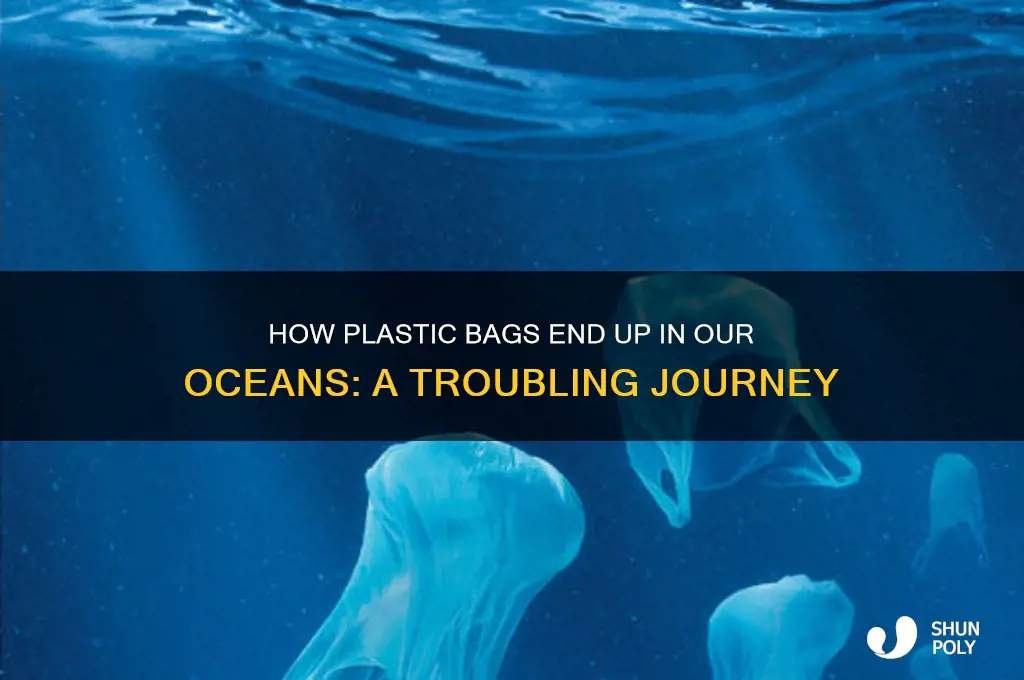 how did plastic bag get into the ocean