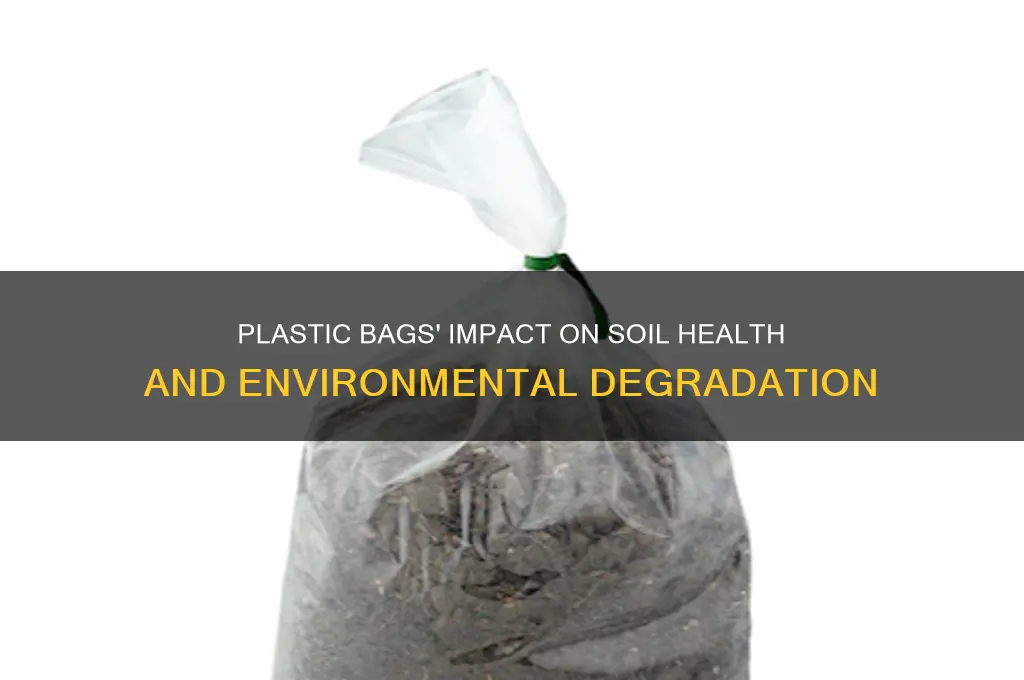 how did plastic bags affect the soil
