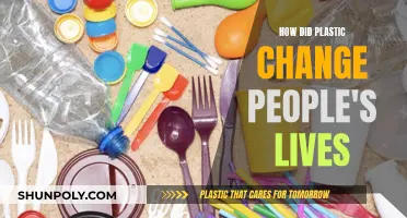 The Evolution of Plastic: Transforming Our Daily Lives