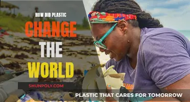 The Evolution of Plastic: Changing Our World