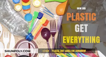 How Plastic Infiltrated Every Aspect of Our Daily Lives