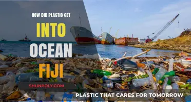 How Plastic Pollution Reaches Fiji's Pristine Ocean Waters