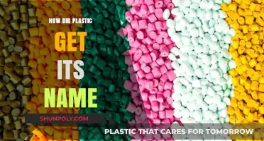 The Surprising Origin Story Behind the Name 'Plastic