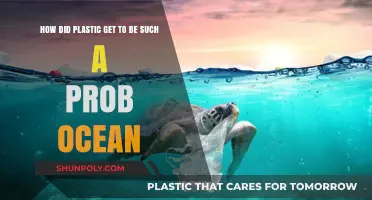 From Convenience to Crisis: The Rise of Plastic Ocean Pollution