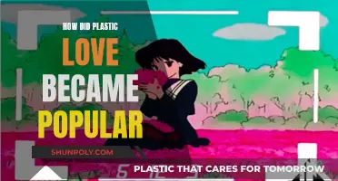 Plastic Love's Rise: A Cultural Phenomenon Explained
