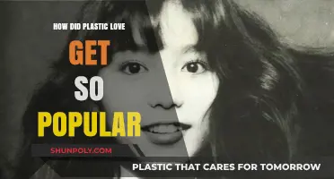 Plastic Love's Rise: How a Retro Hit Became a Global Phenomenon