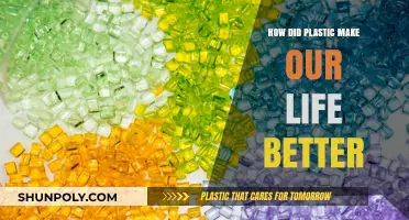Plastic Innovations: Transforming Daily Life with Convenience and Versatility