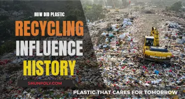 The Revolutionary Impact of Plastic Recycling: A Historical Perspective